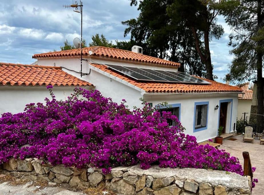 House With Swimming Pool And Amazing Sea And Mountain Views In Montgo, Сasa de vacaciones Dénia