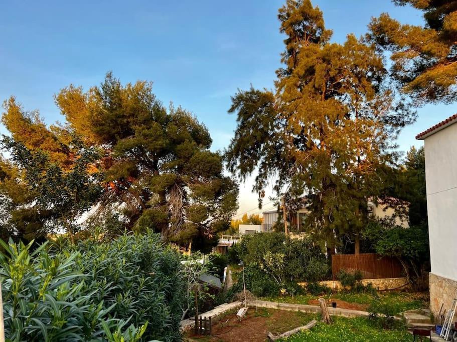 Сasa de vacaciones House With Swimming Pool And Amazing Sea And Mountain Views In Montgo, Dénia