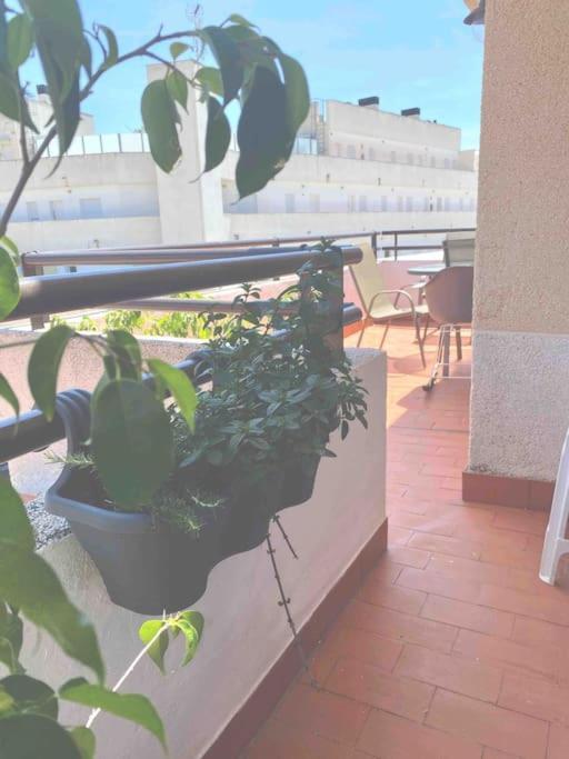 Aire Apartment *