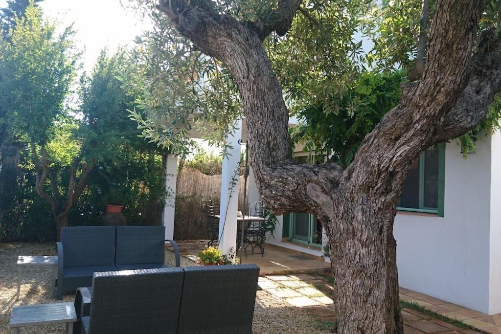 Familiar En La Montana, Con Acceso A Piscina Holiday home