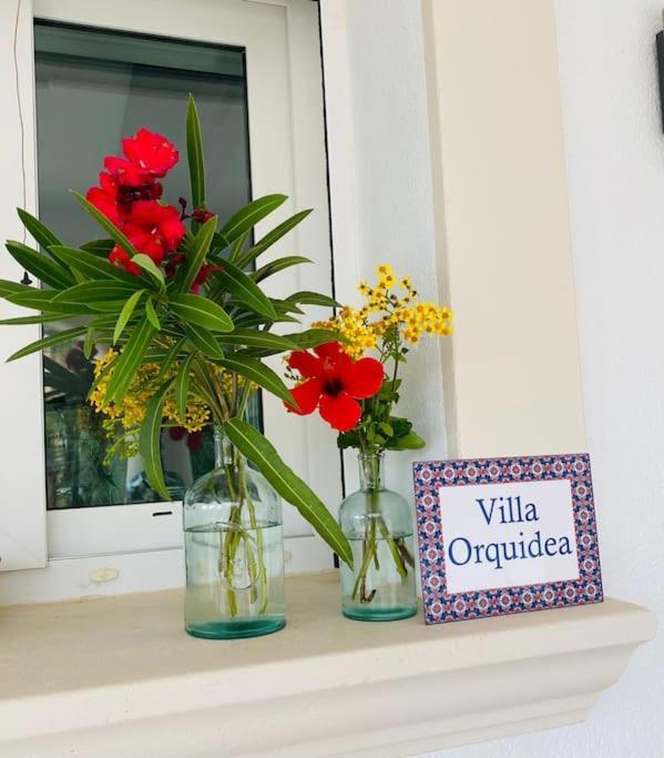 Orquidea *