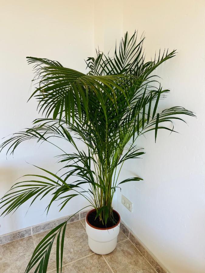 A 20m De La Playa Apartment
