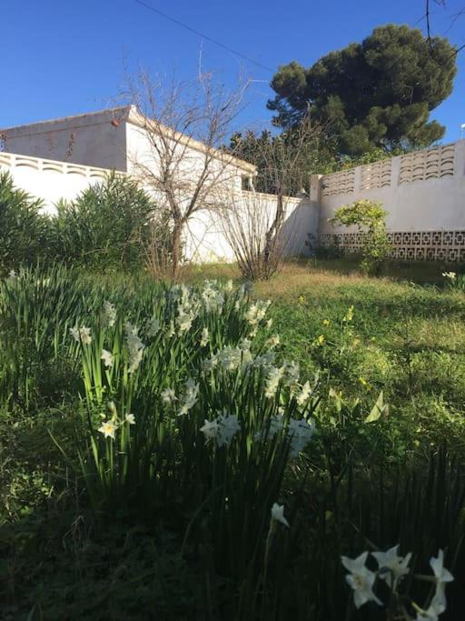 Apartment Voramar *