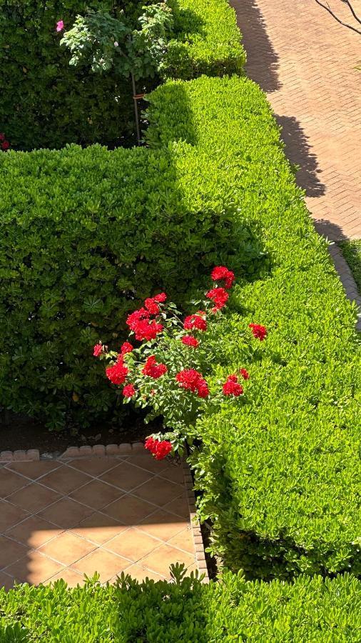 Apartamento La Rosaleda 17