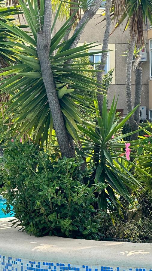 Apartamento La Rosaleda 17 Dénia