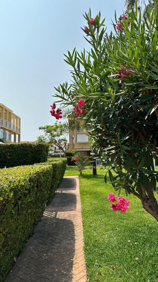 Apartamento La Rosaleda 17 Dénia