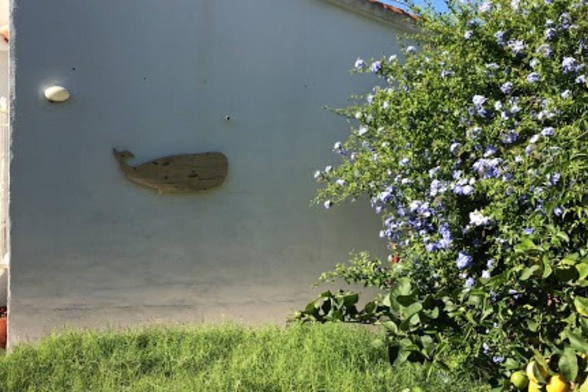 2 Bedrooms House With Shared Pool Terrace And Wifi At 2 Km Away From The Beach Сasa de vacaciones Dénia