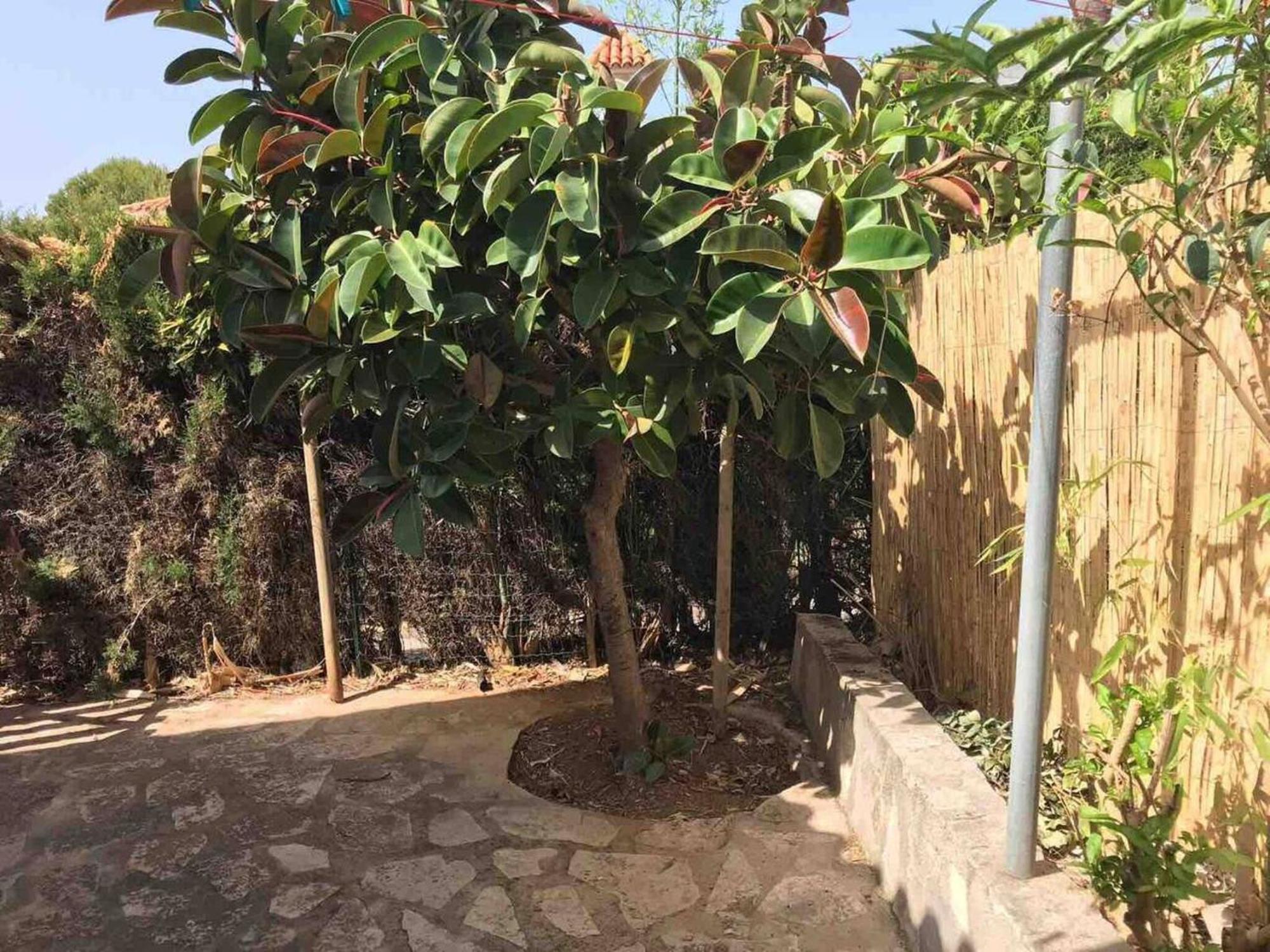 2 Bedrooms House With Shared Pool Terrace And Wifi At 2 Km Away From The Beach Dénia