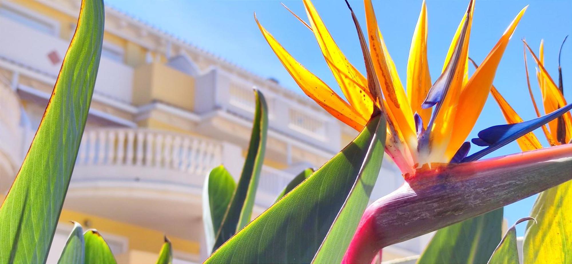 Playa Sol By Costa Apartment Denia