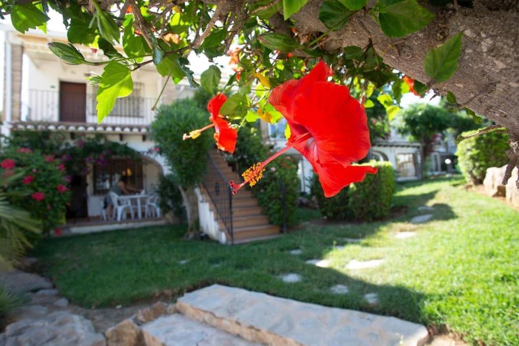 Casa En Con Piscina Y Jardin Apartment *
