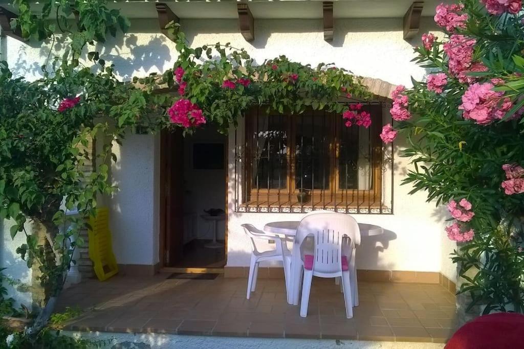 Casa En Con Piscina Y Jardin Apartment