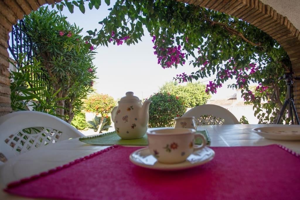 Casa En Con Piscina Y Jardin *