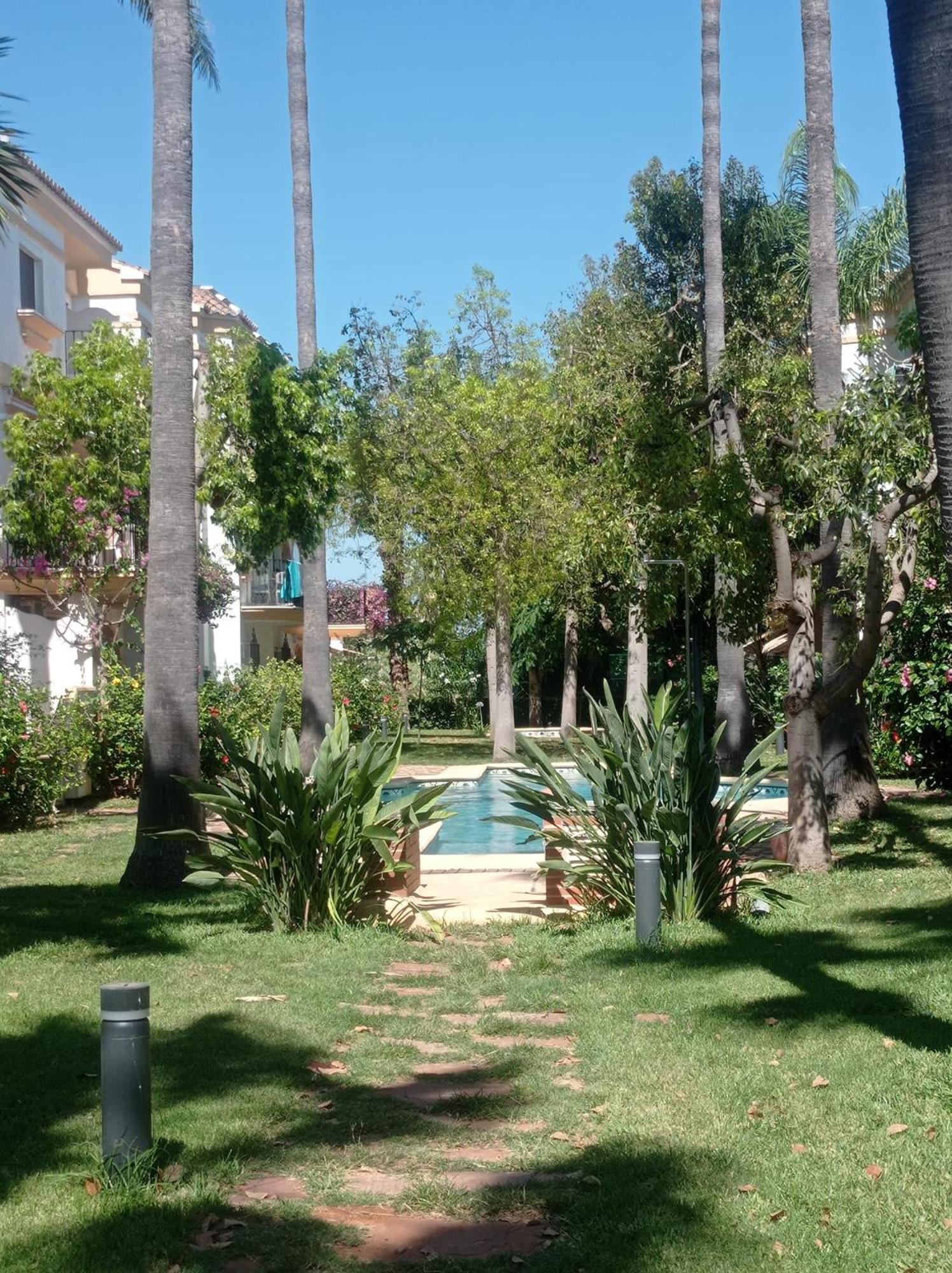 El Patio