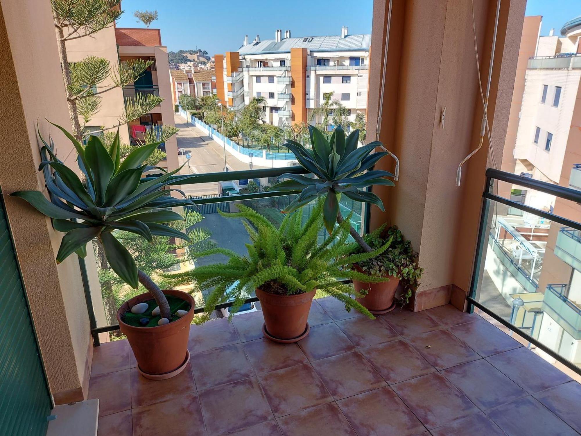 La Darsena Denia