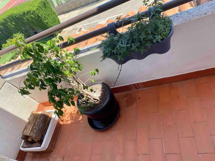 Aire Apartment