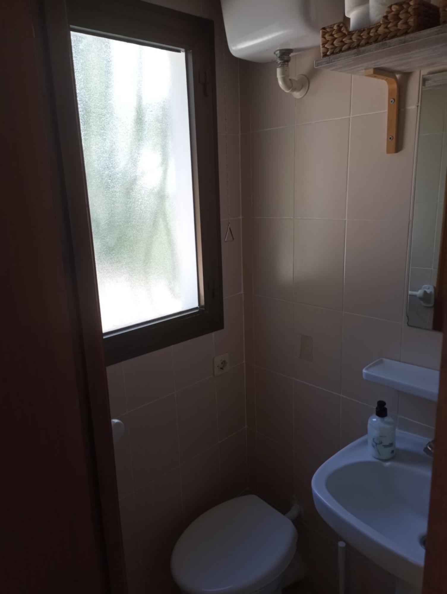 Estudio Caballo-piscina