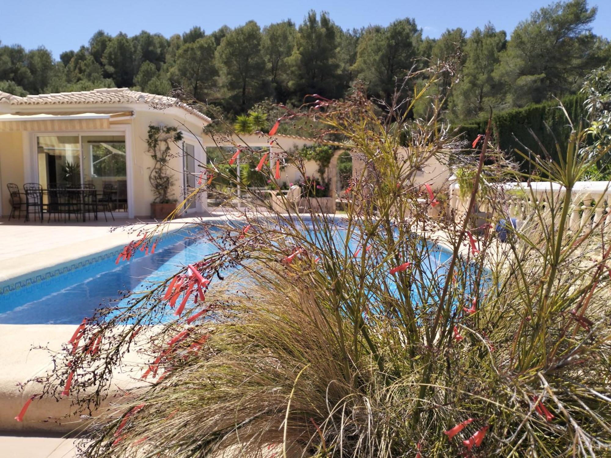 Luxueuse Denia