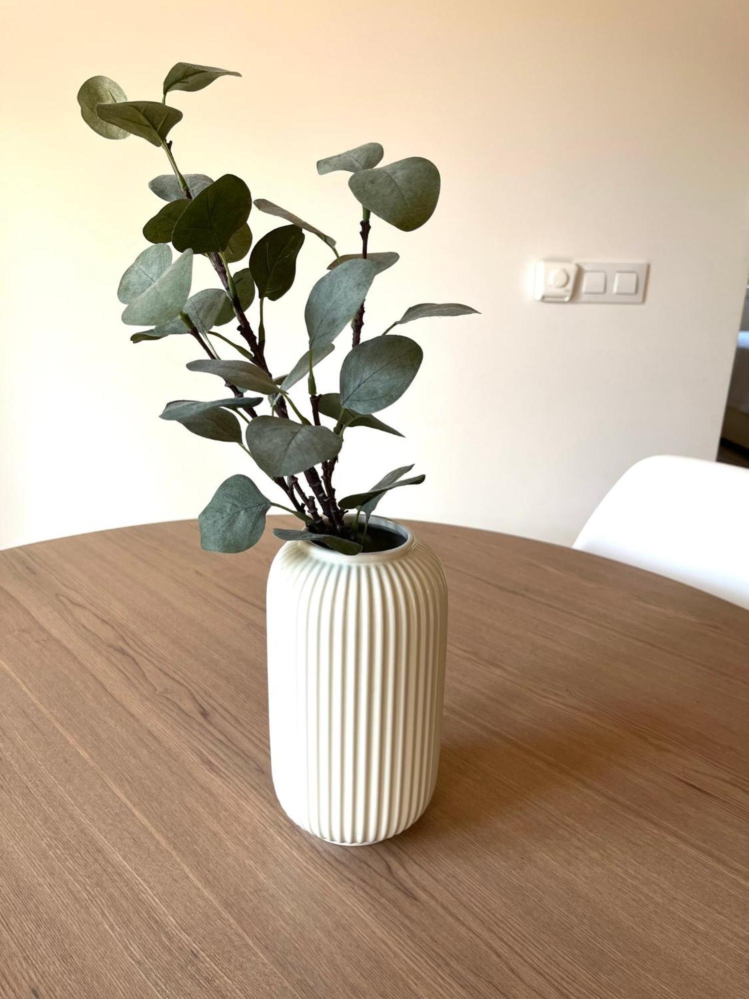Apartment En