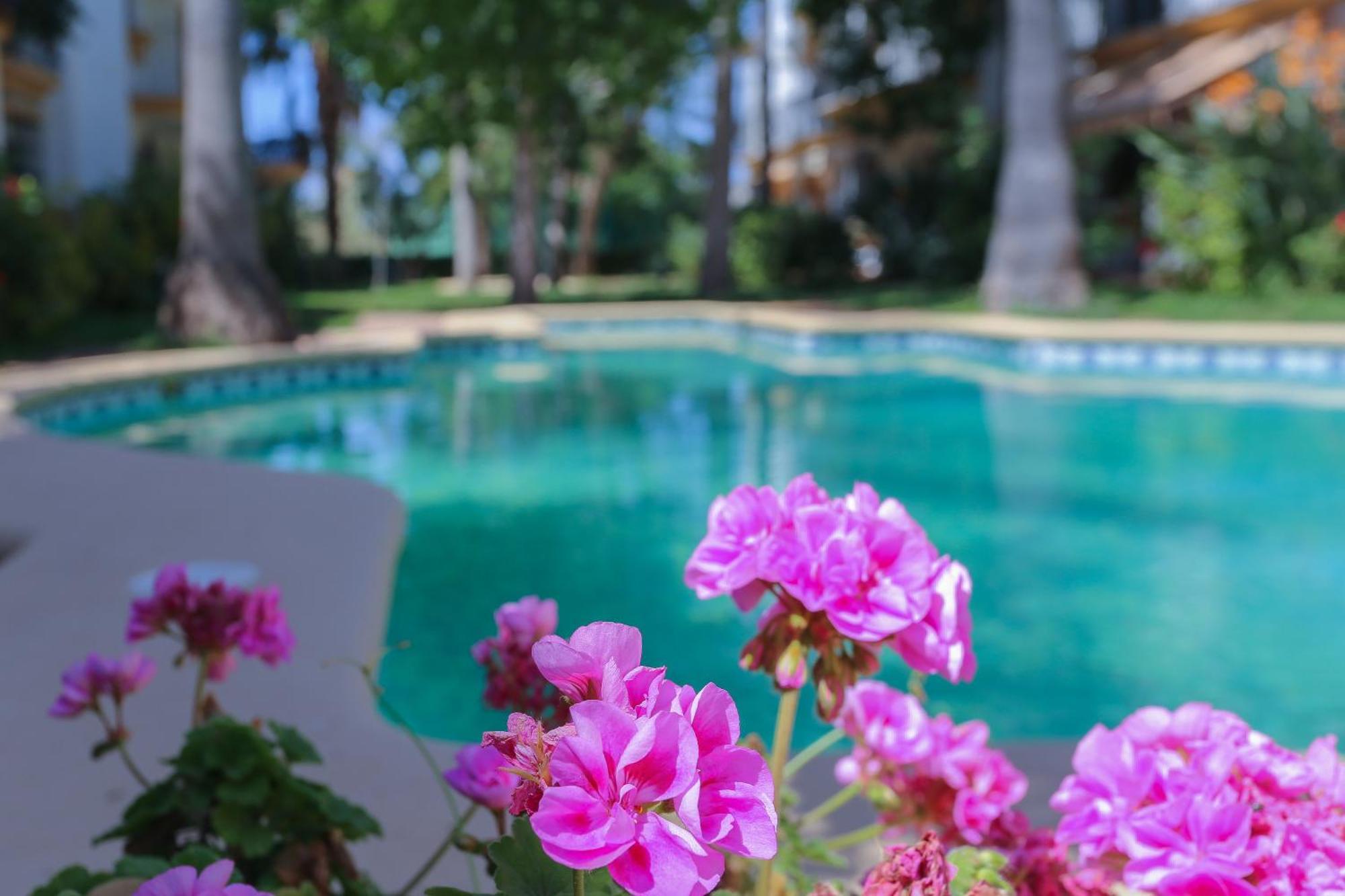 Retiro Sol - El Patio Block 3 1 * Denia