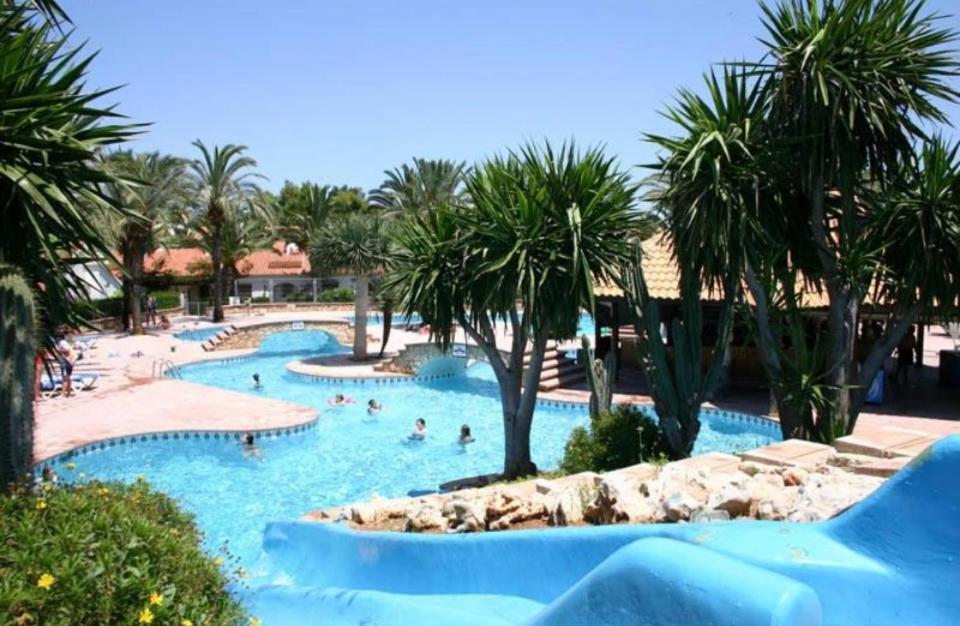 Palmar