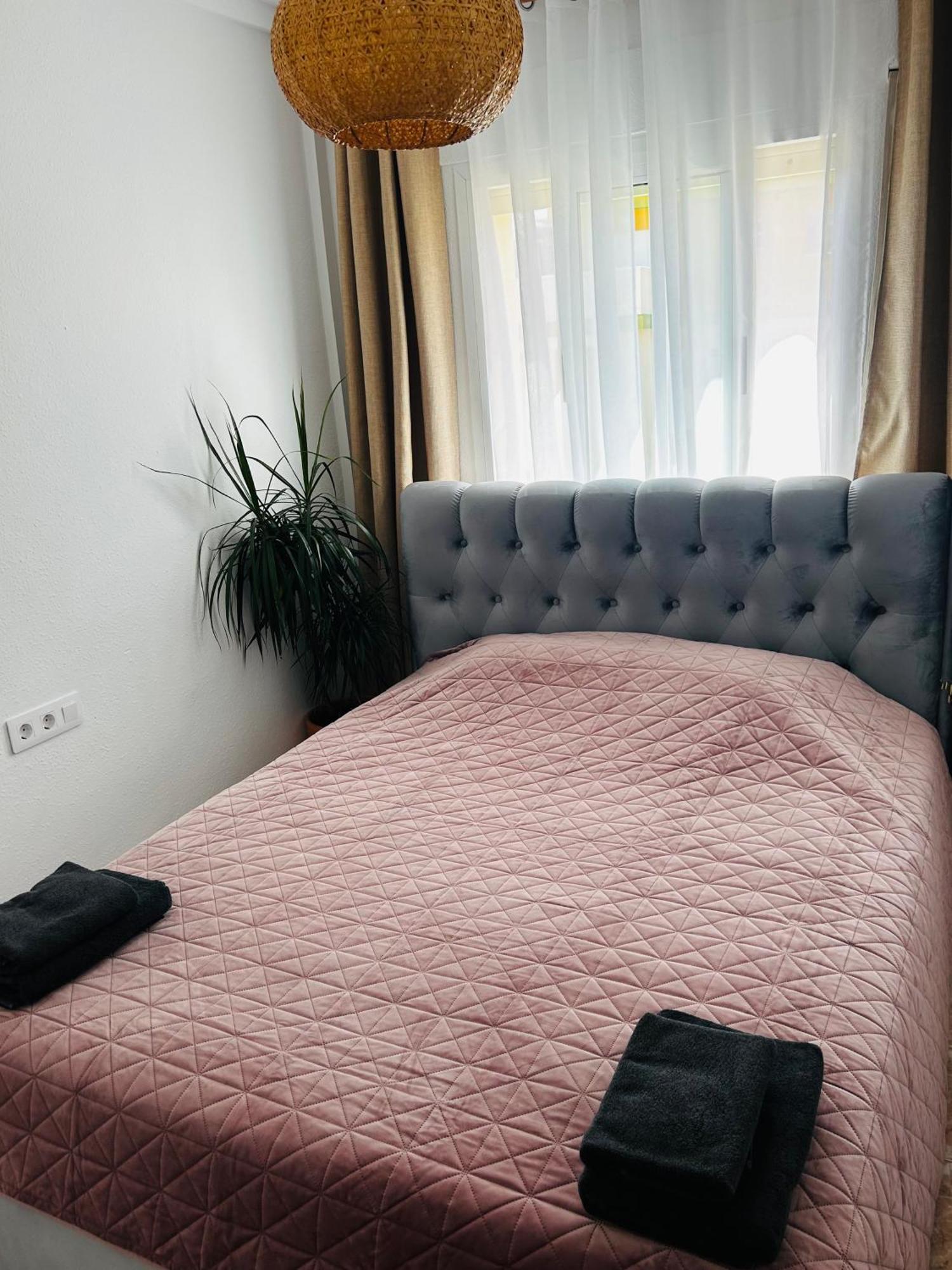Apartment Belvedere