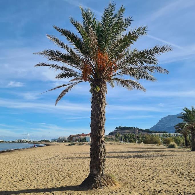 Seaside In Apartamento