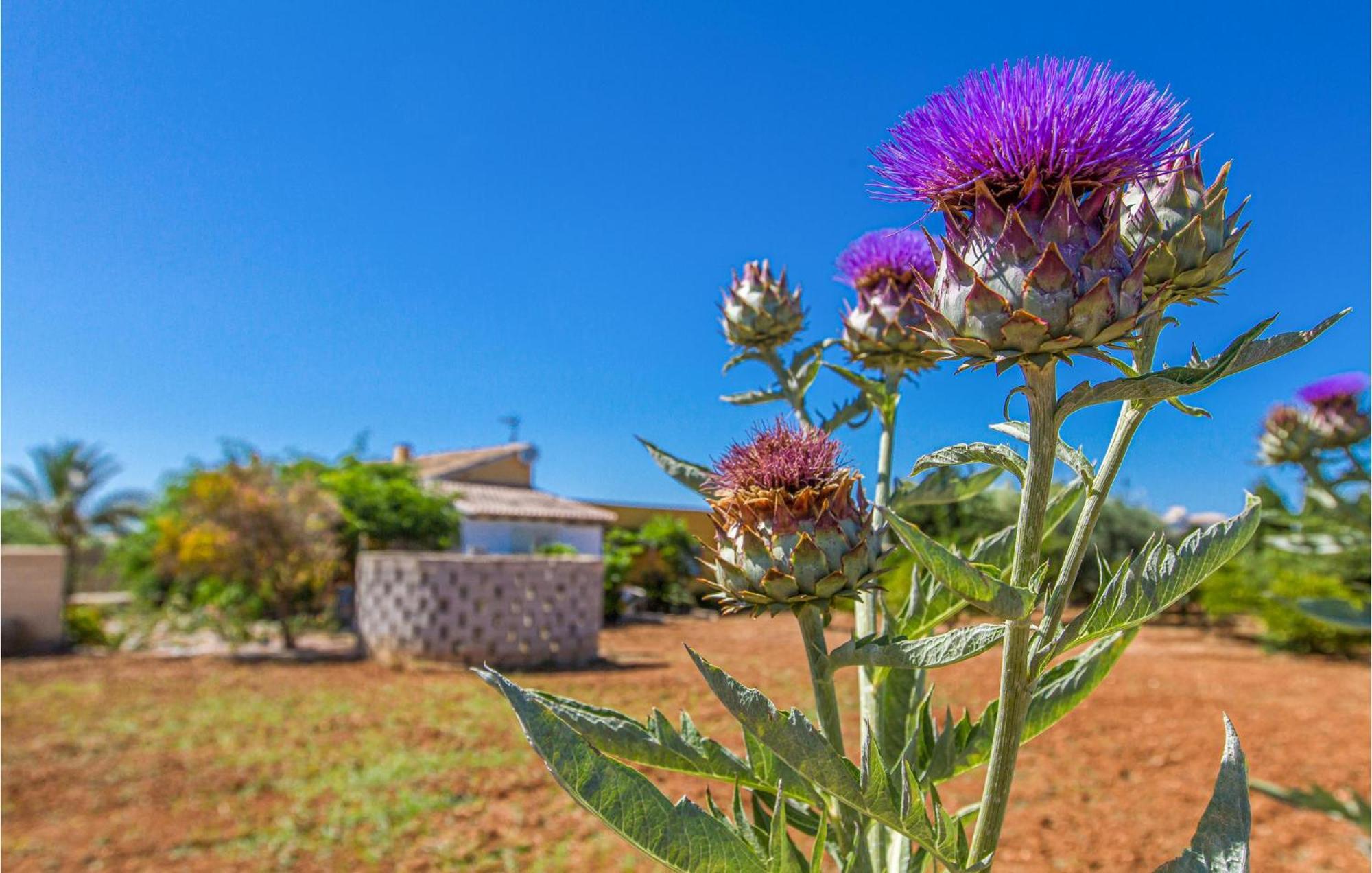 Holiday home Nice Home In Denia With Outdoor Swimming Pool