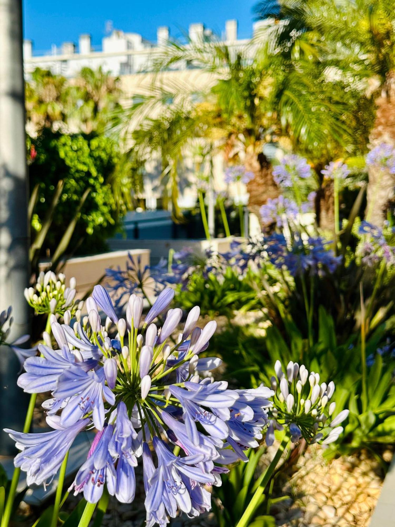 Jardines De 24 Apartamento Dénia