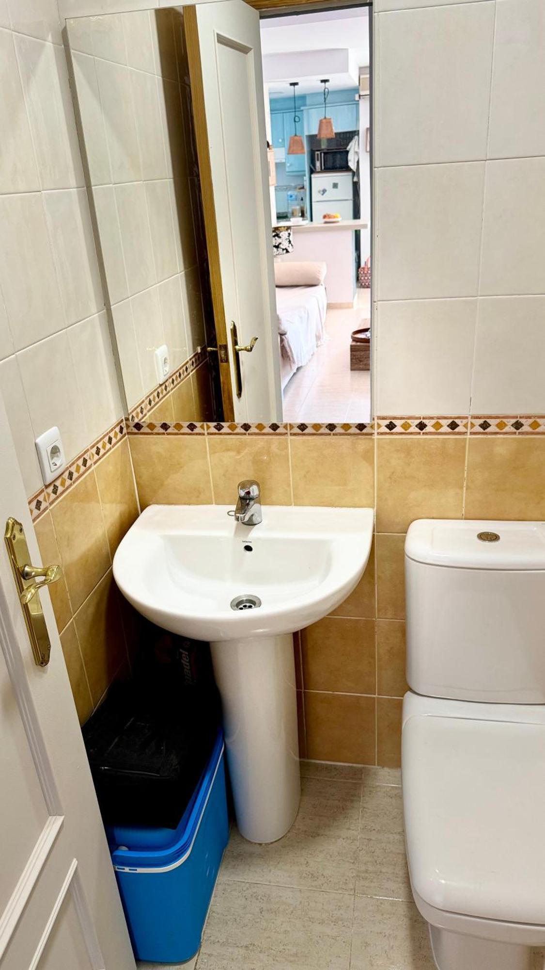 Datiler Vybdenia Denia