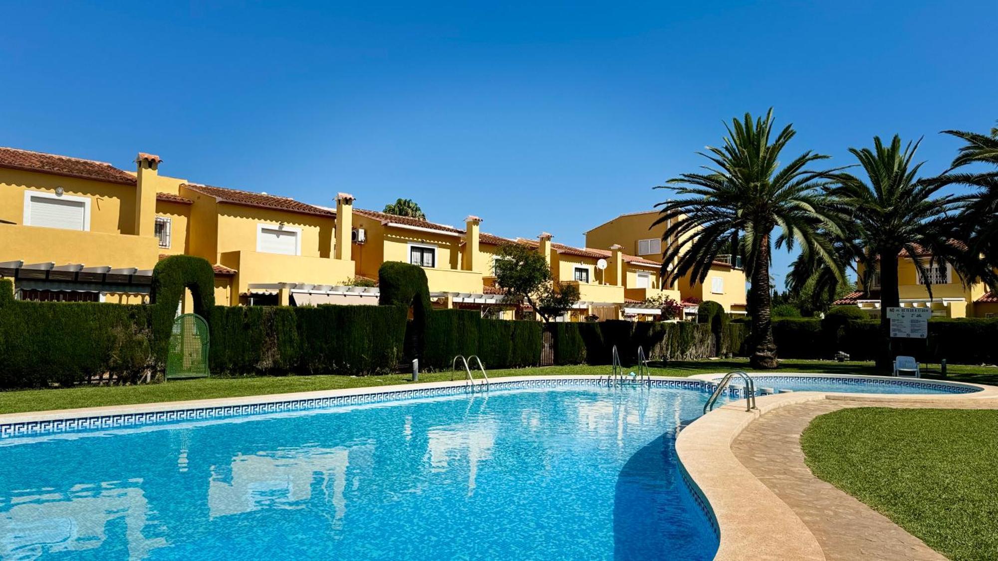 Datiler Vybdenia Denia