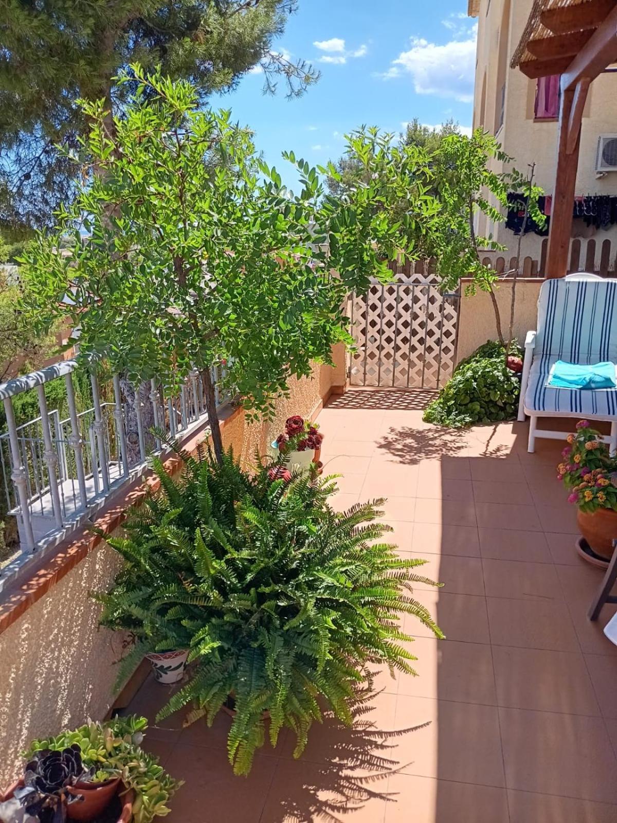 Apartemento Monika Monte Pedrera C 1 Aussicht Apartment