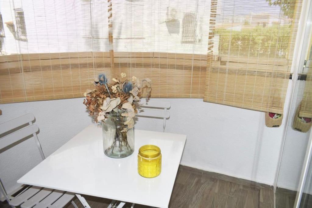 Apartment Palmar & C0