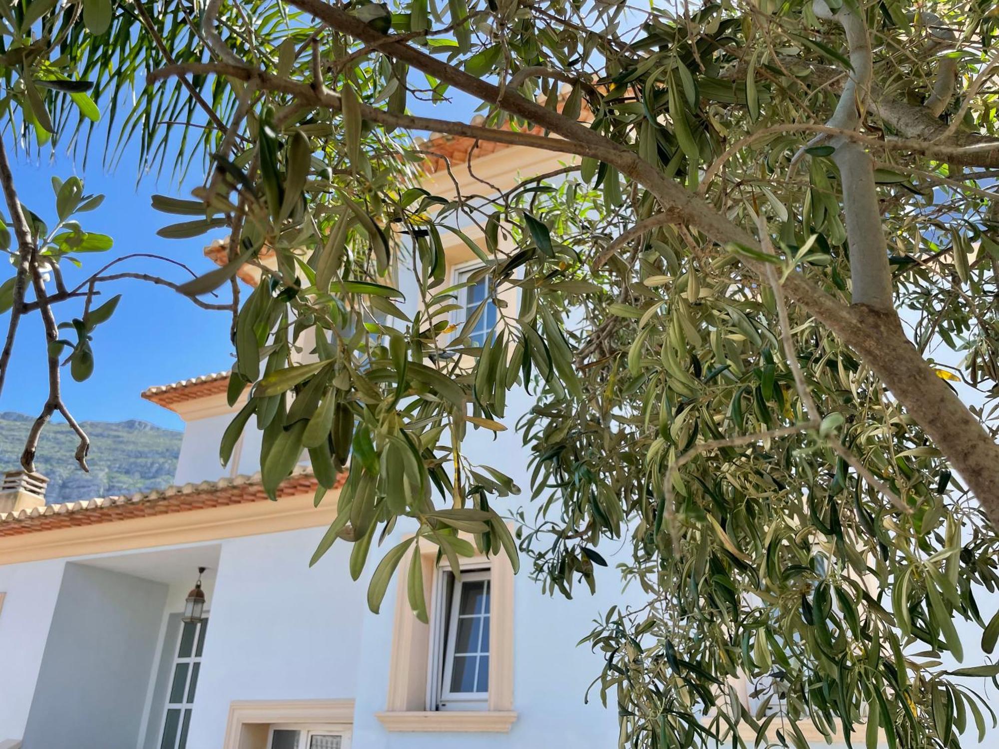 Villa Fenomenale Met Groot Prive Zwembad Casa Merle