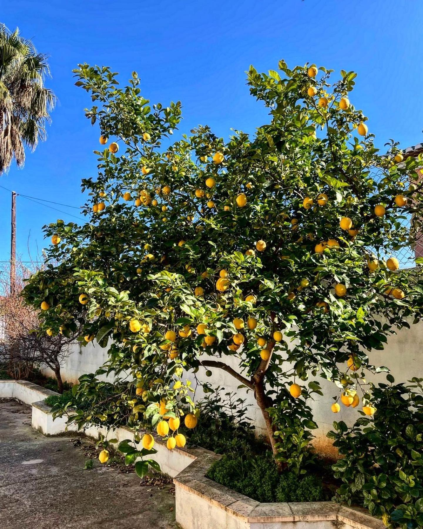 Fenomenale Met Groot Prive Zwembad Casa Merle *