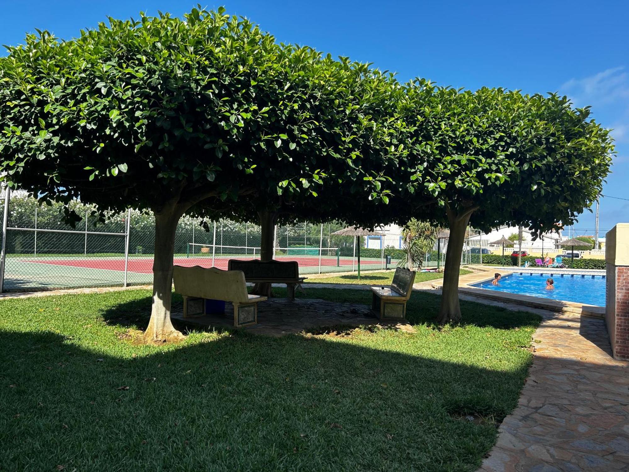 Apartment Belvedere