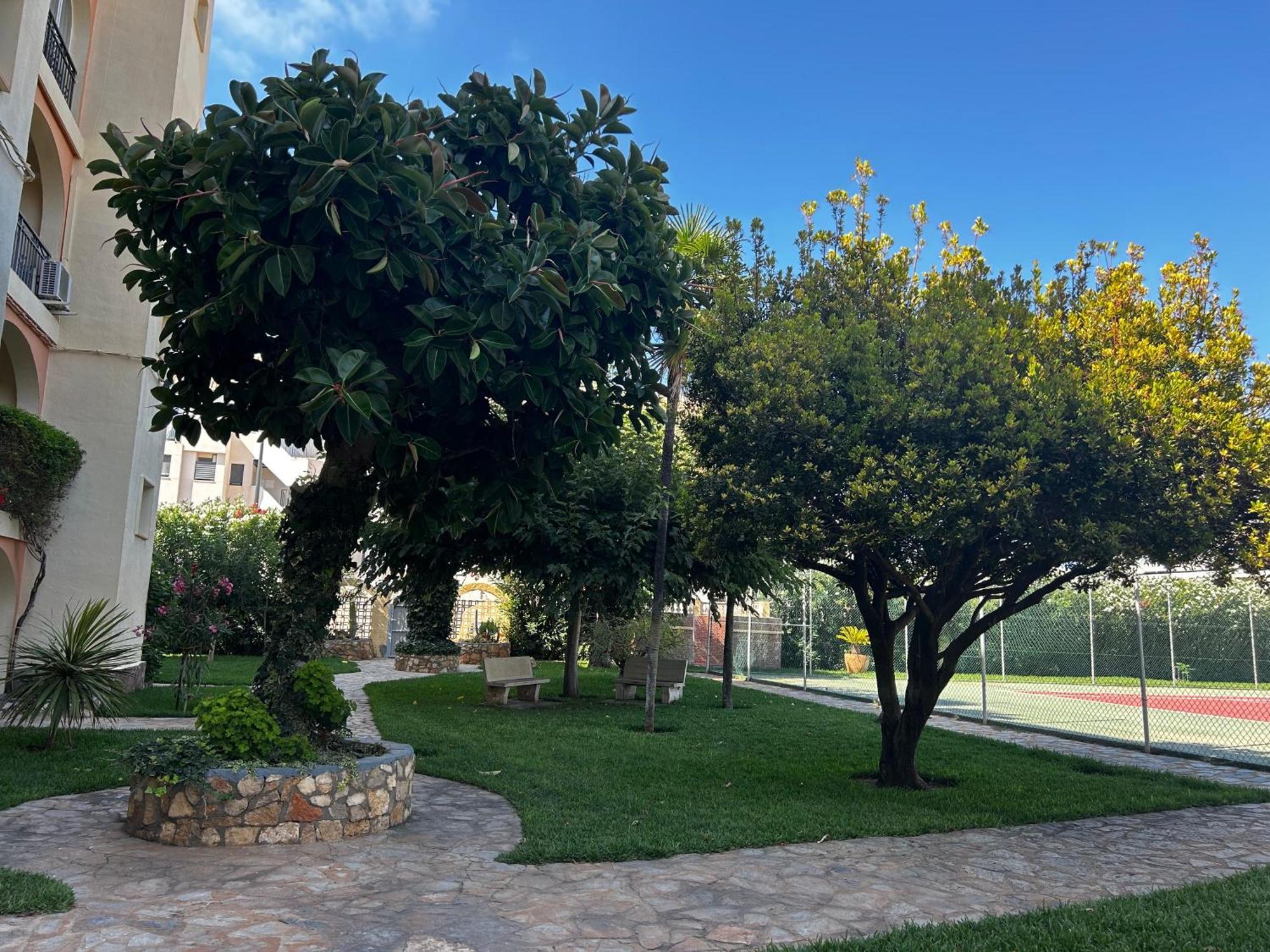 Apartment Belvedere