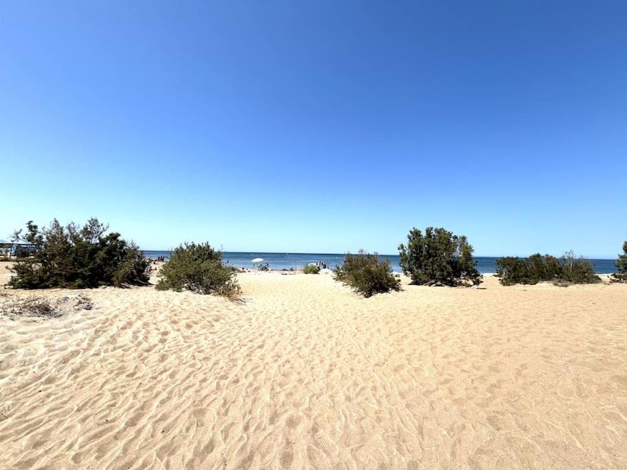 En Dianium Apartamento Dénia