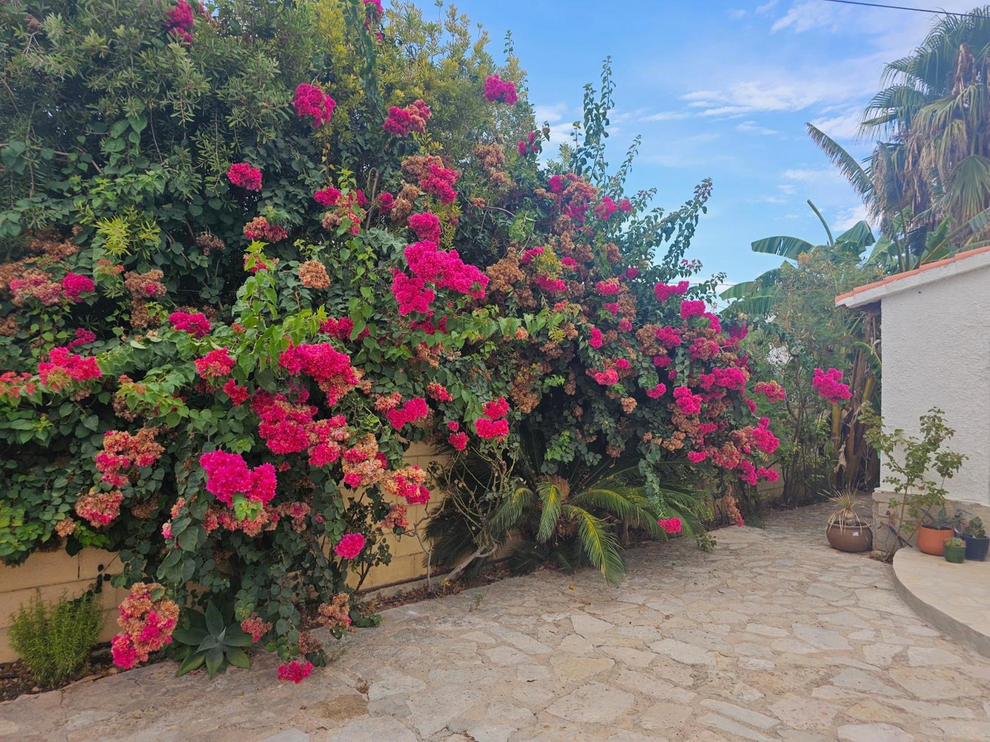 Casa De Flores Villa Dénia