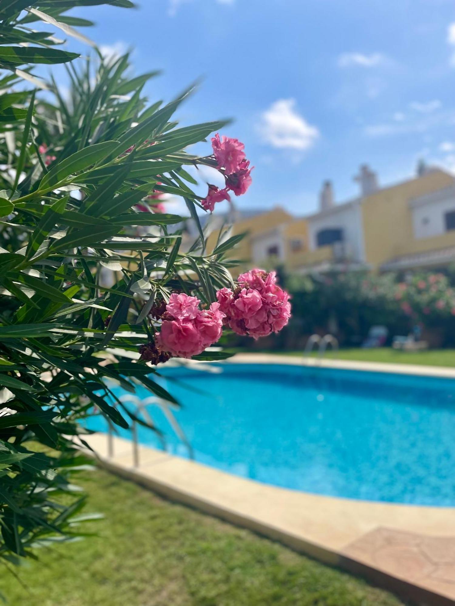 El Casa Kama Denia