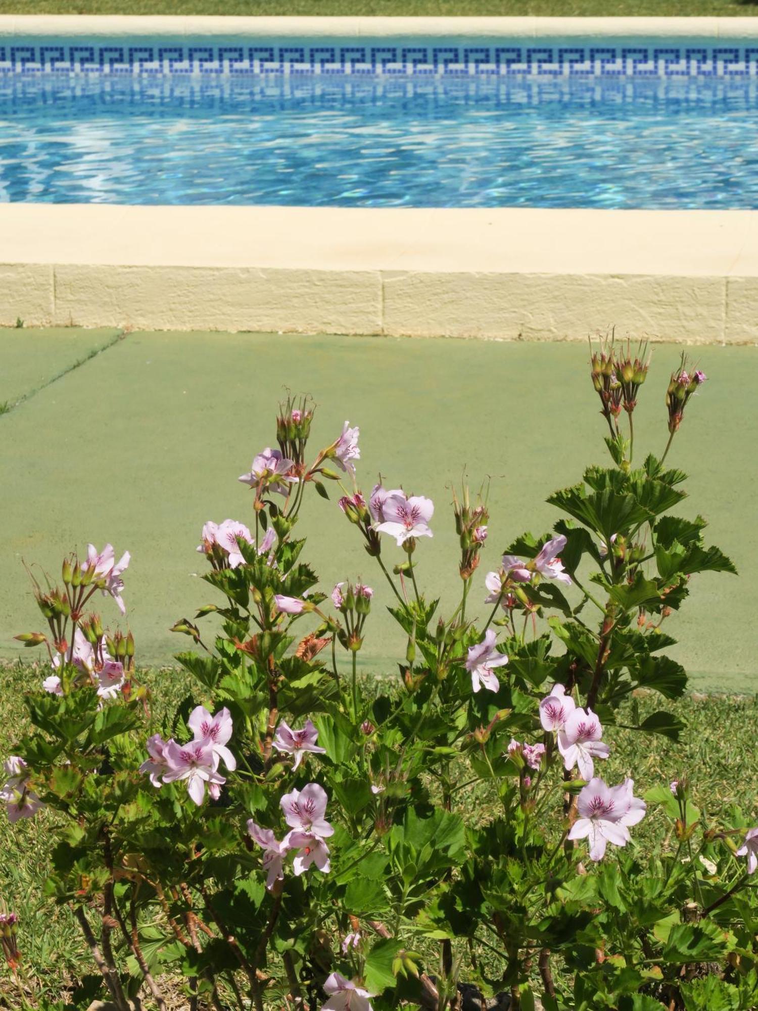 Casa Dos Piscinas Y Jardin Privado, Fibra 1 Gb Сasa de vacaciones Dénia