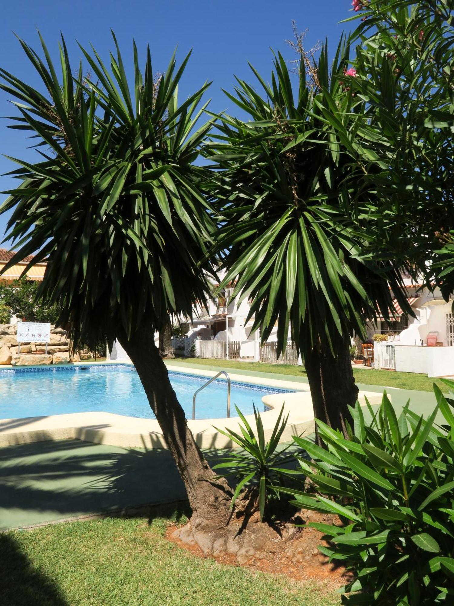 Casa Dos Piscinas Y Jardin Privado, Fibra 1 Gb Сasa de vacaciones *