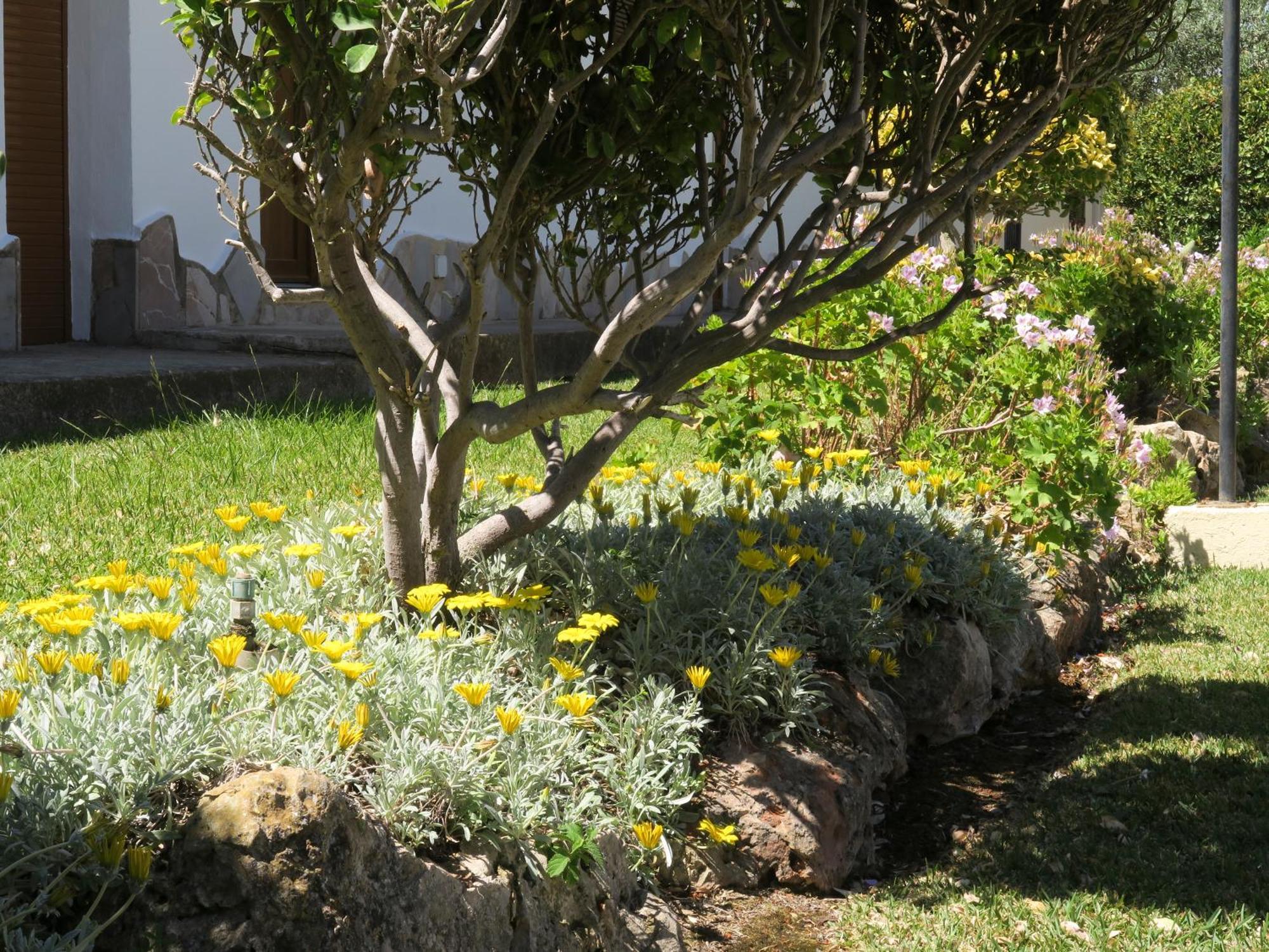 Casa Dos Piscinas Y Jardin Privado, Fibra 1 Gb *
