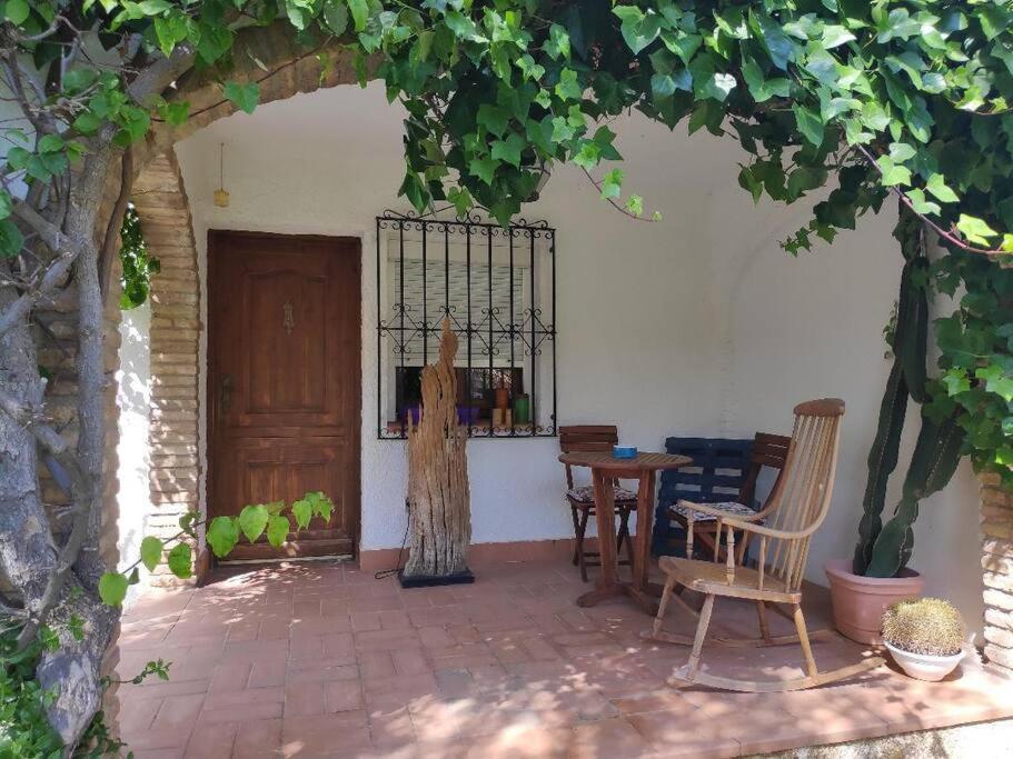 Apartamento Florida Sol Adorable Adosado Con Piscina *