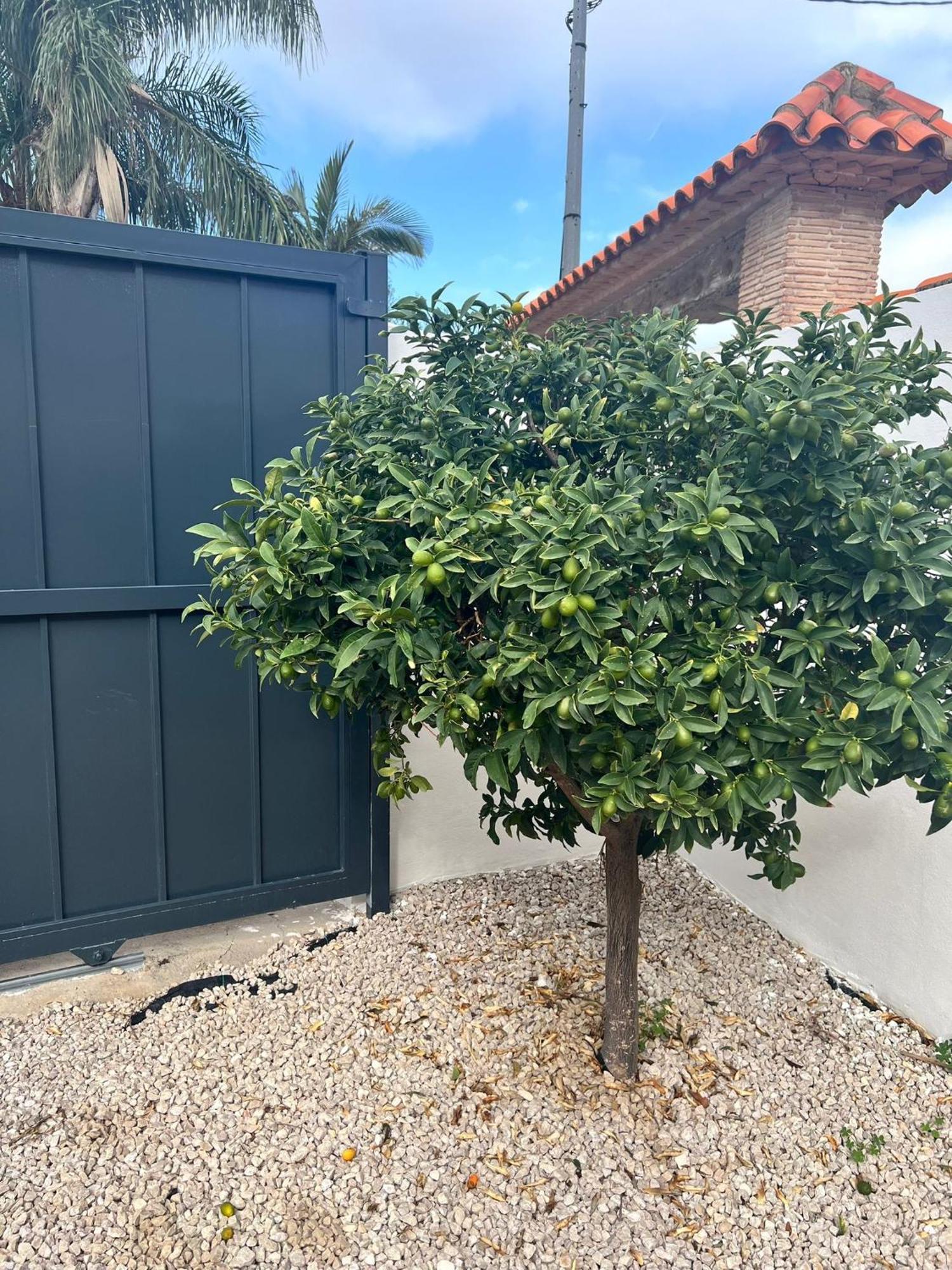 Apartamento Lalola - Privado *