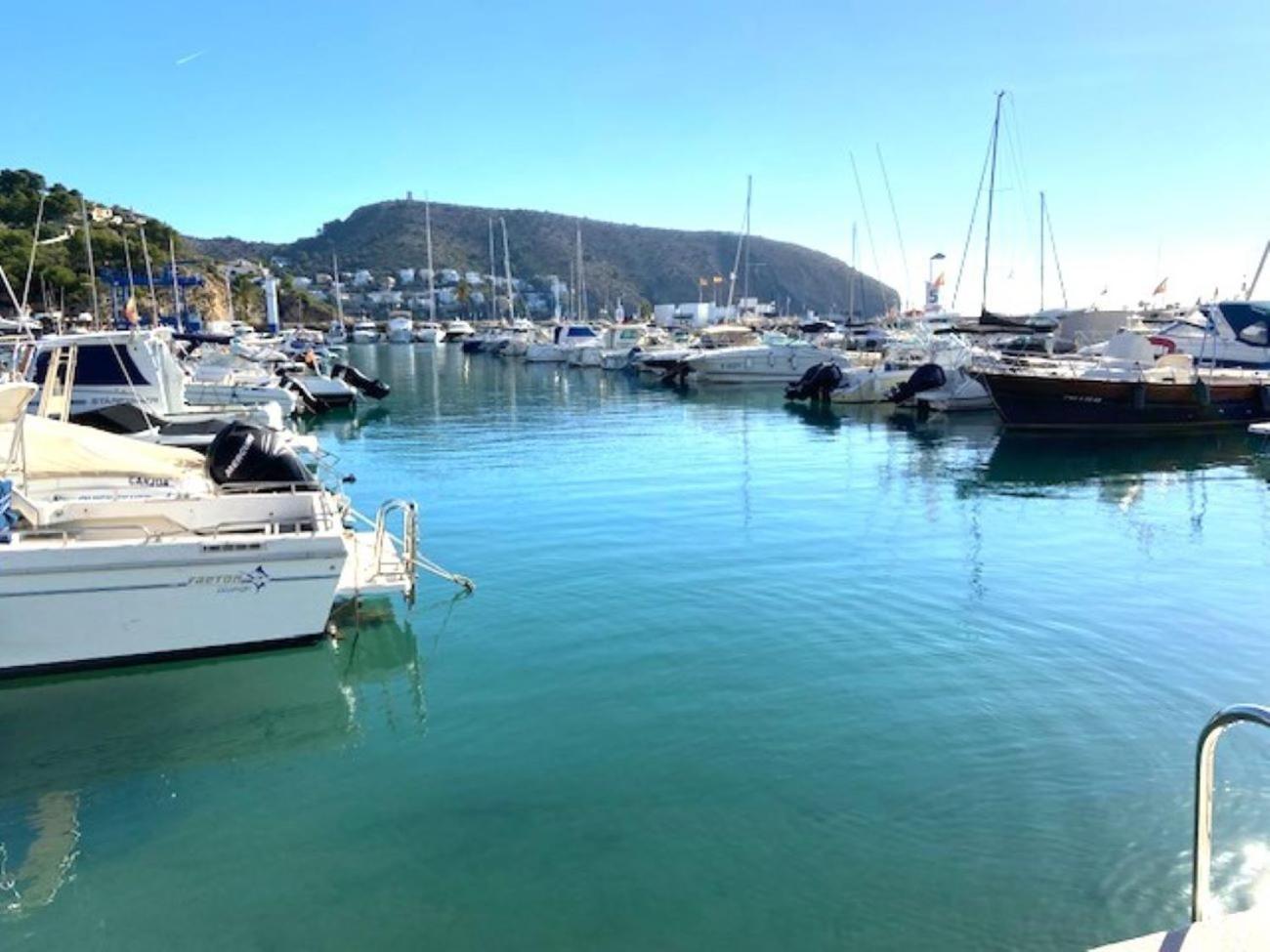- Vivir La Vida Denia
