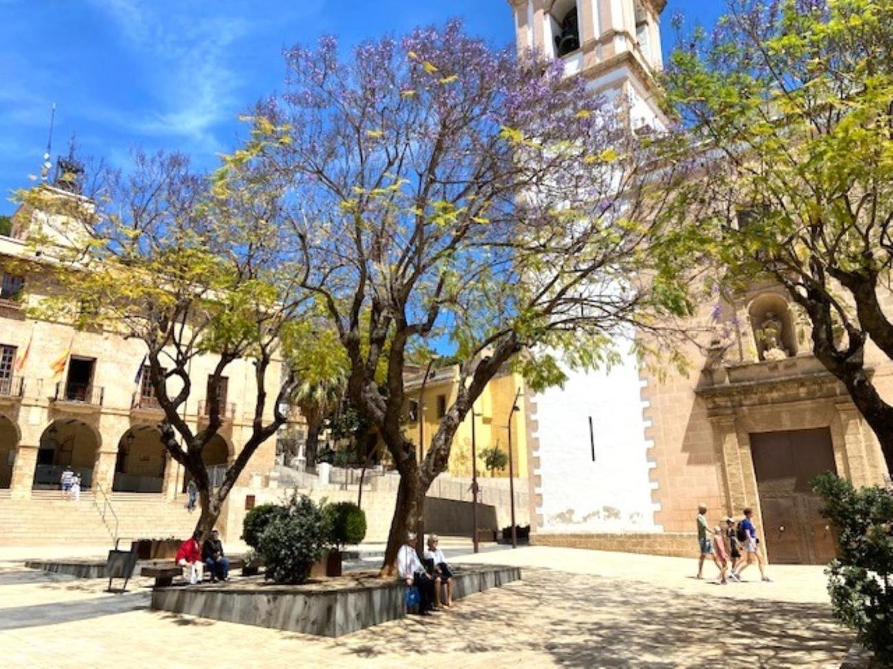 - Vivir La Vida Denia