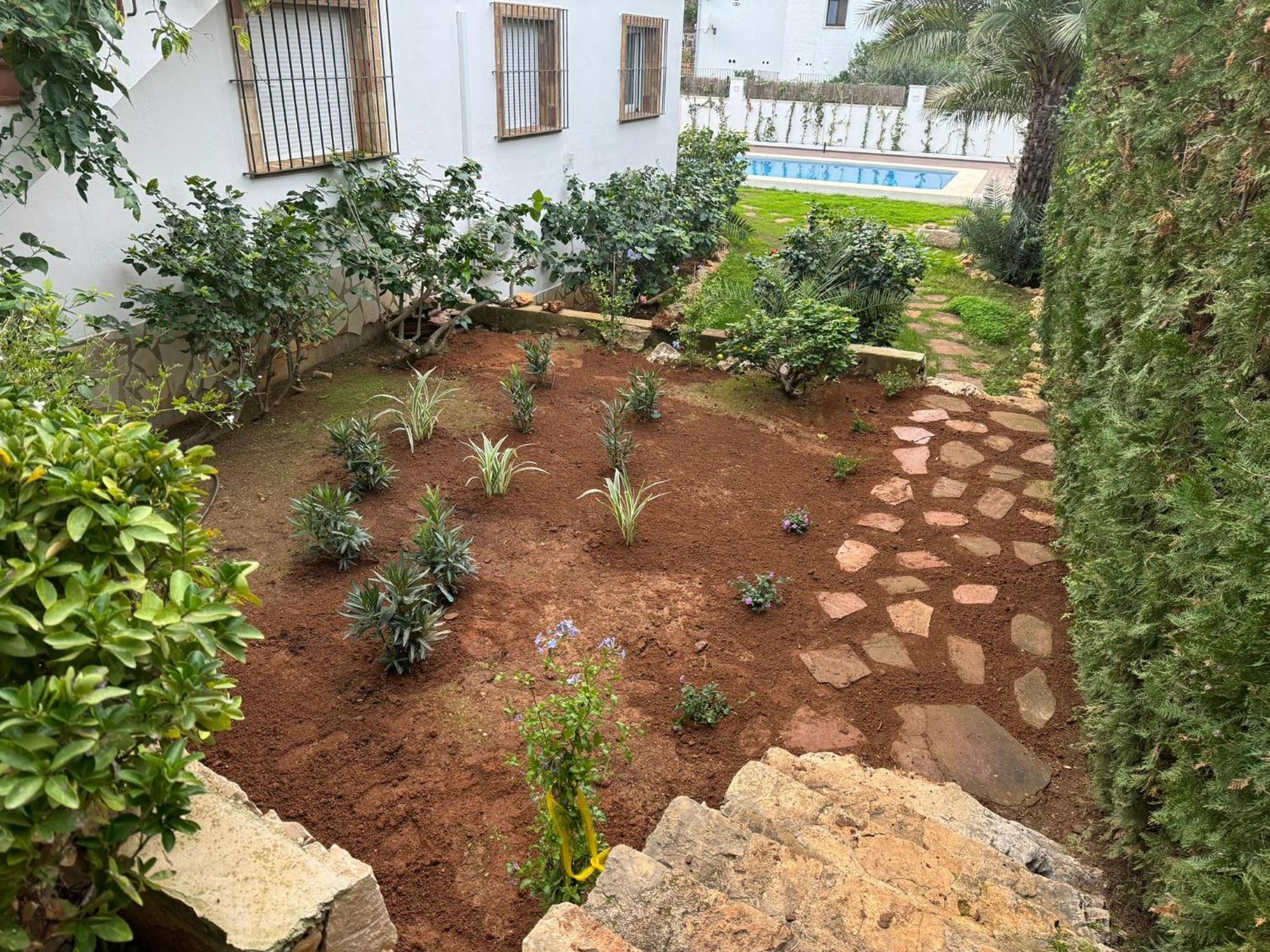 Pura Vida Villa *