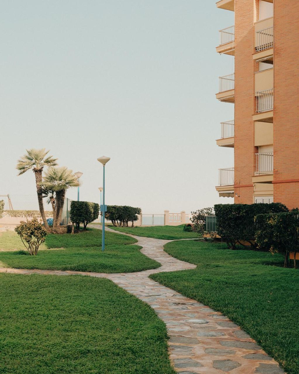 Lavanda * Dénia