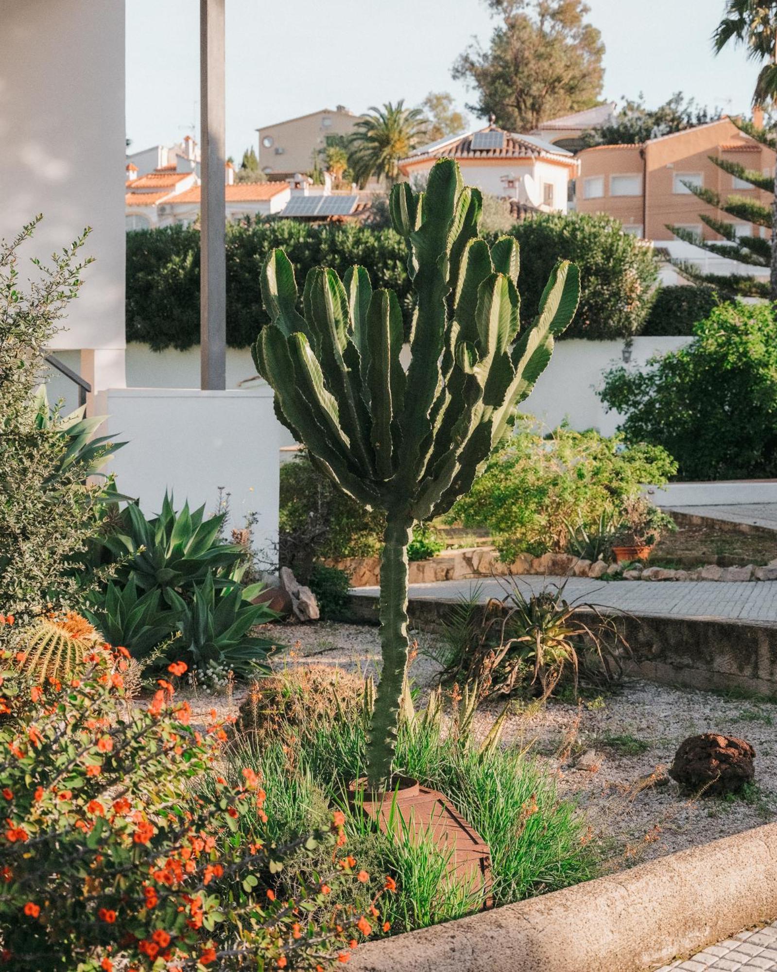 Casa Araucaria Villa Dénia