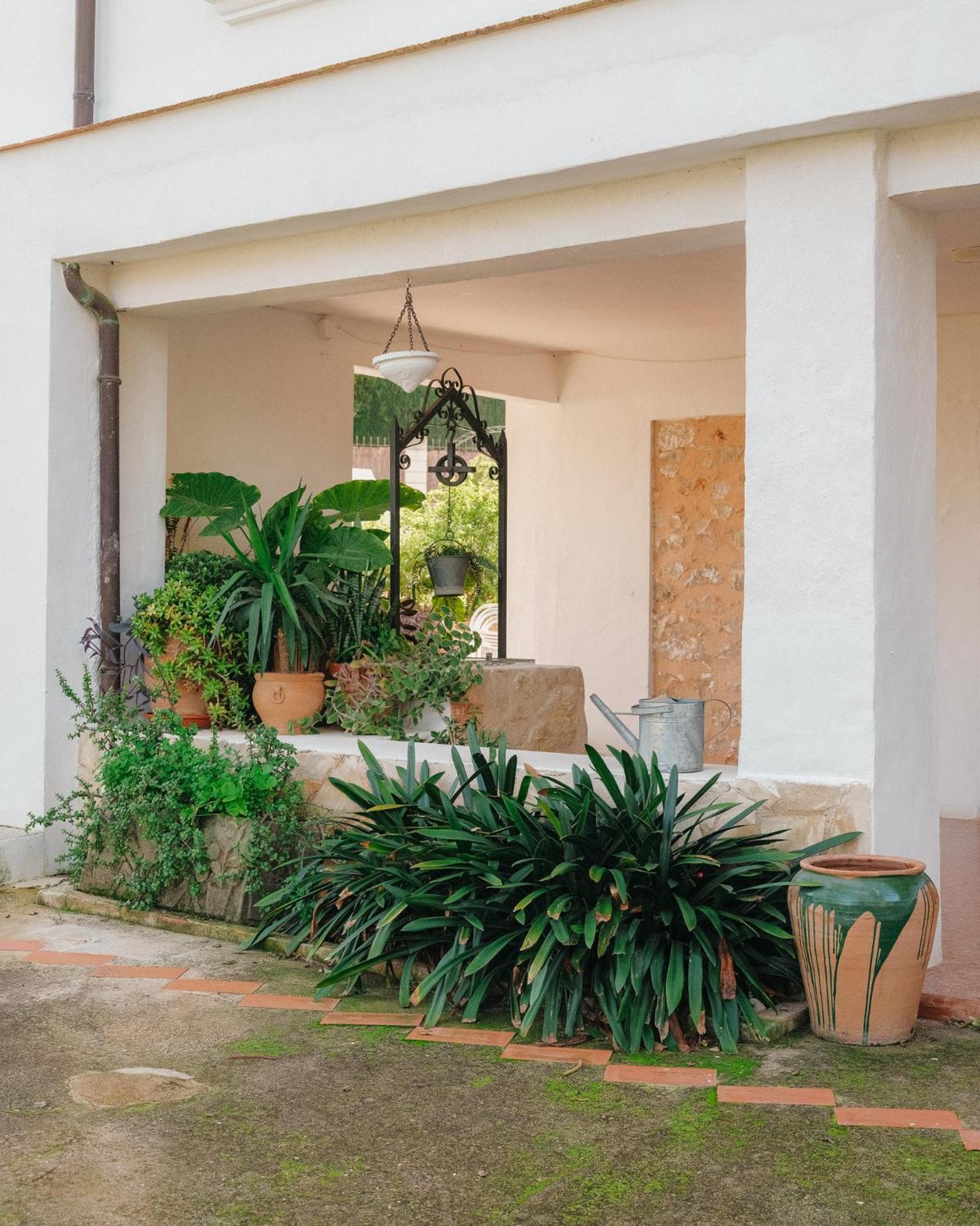Casa Araucaria Villa *